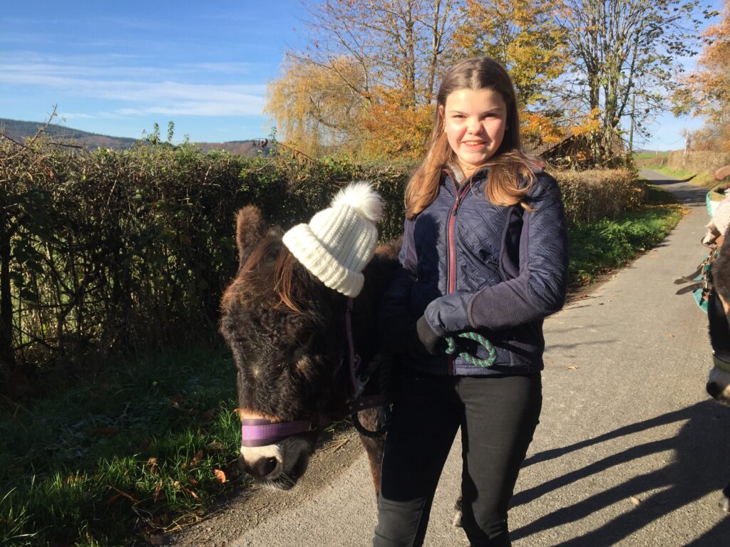 randonnée en ânes dans le morvan