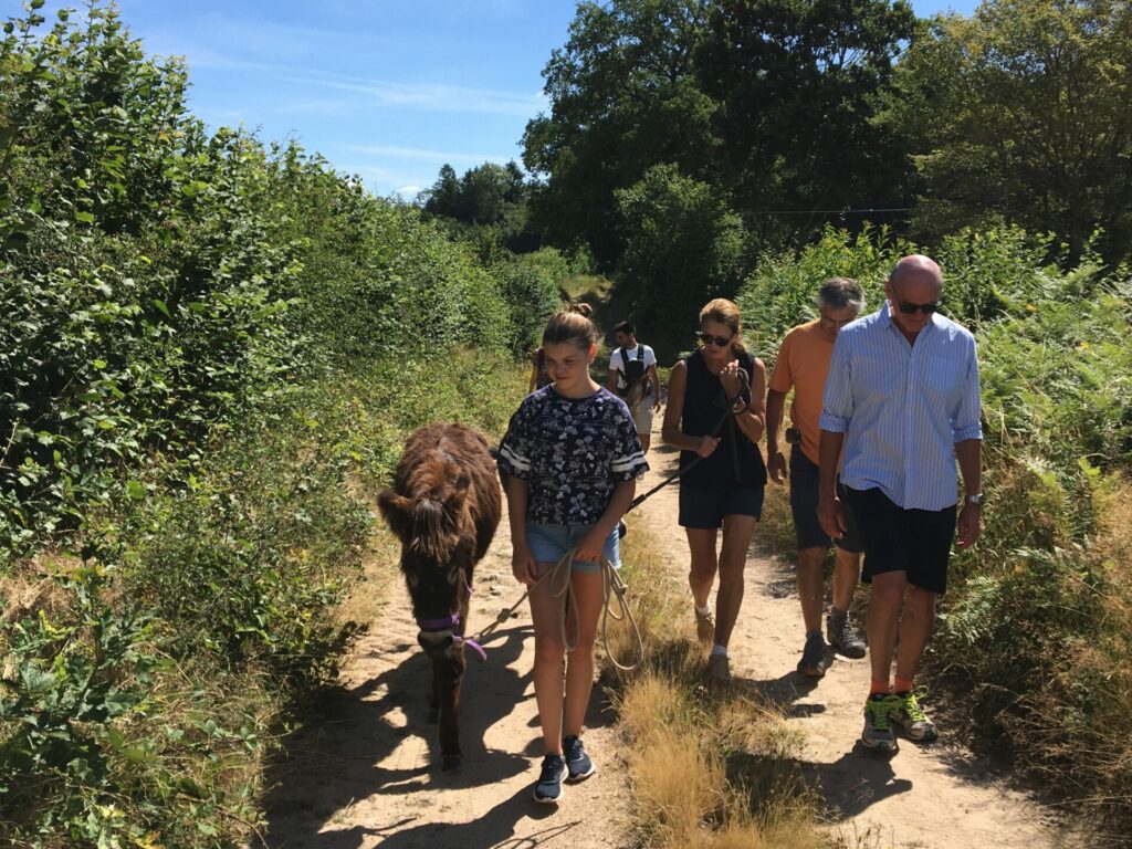 randonnée en ânes dans le morvan