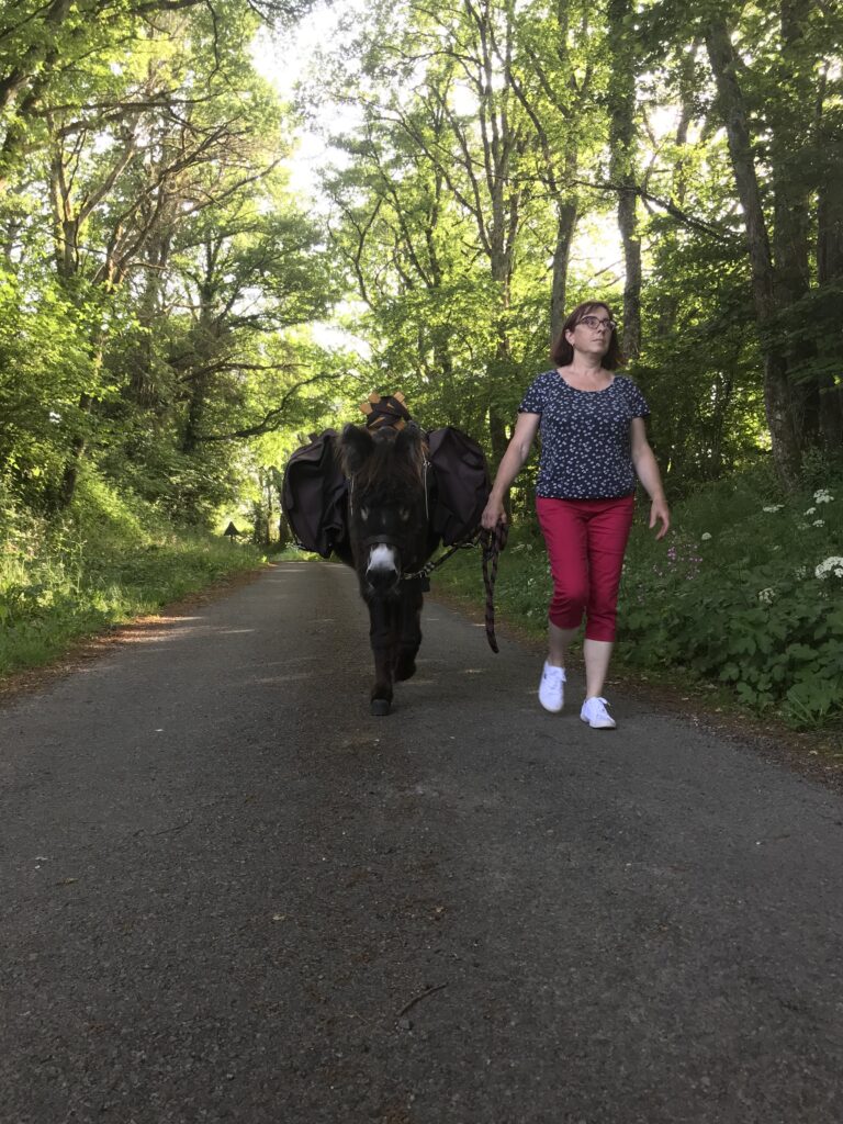 randonnée en ânes dans le morvan