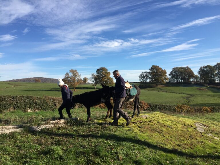 randonnée en ânes dans le morvan